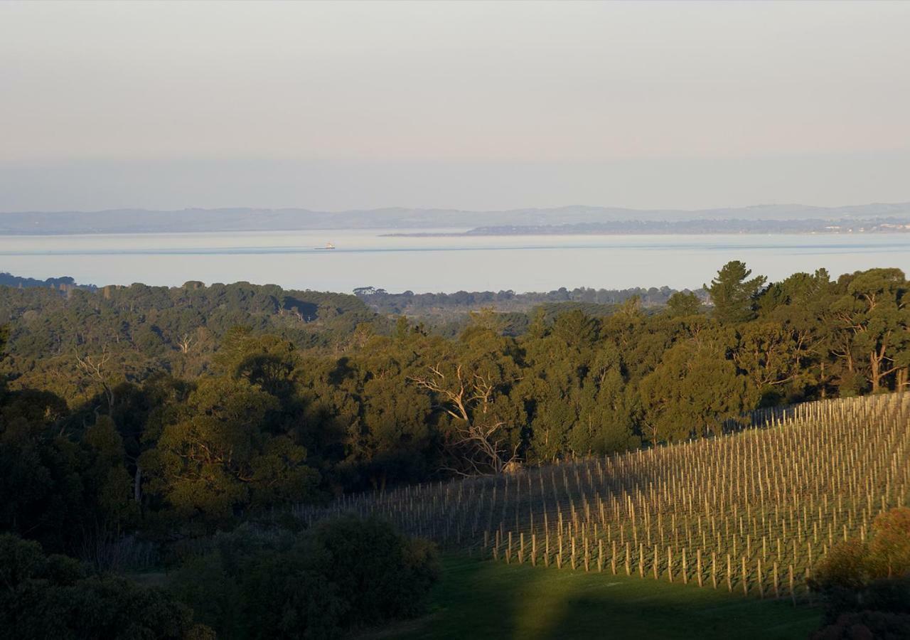Отель Port Phillip Estate Red Hill South Экстерьер фото
