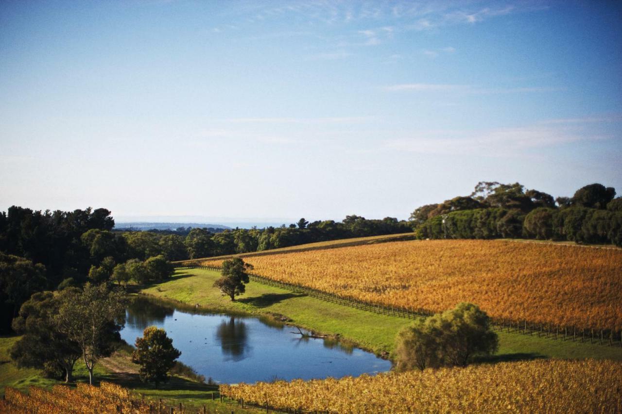 Отель Port Phillip Estate Red Hill South Экстерьер фото